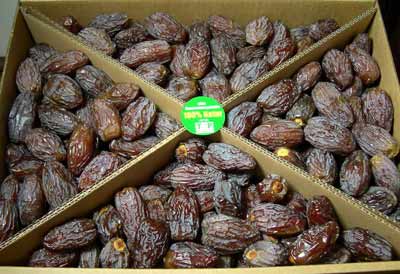 Medjool Datteln im 5kg Karton