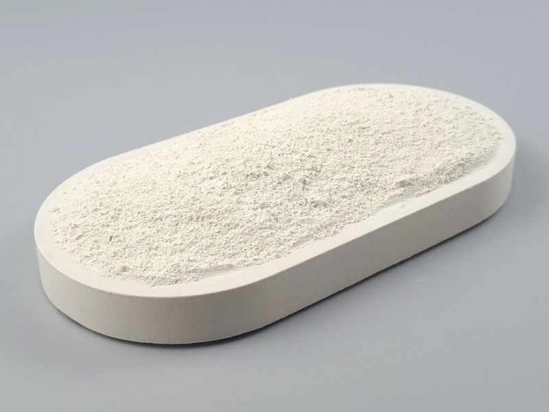 Reisproteinpulver, aus fermentiertem braunem Vollreis, 85% Protein, natur, Bio kbA, Rohkost