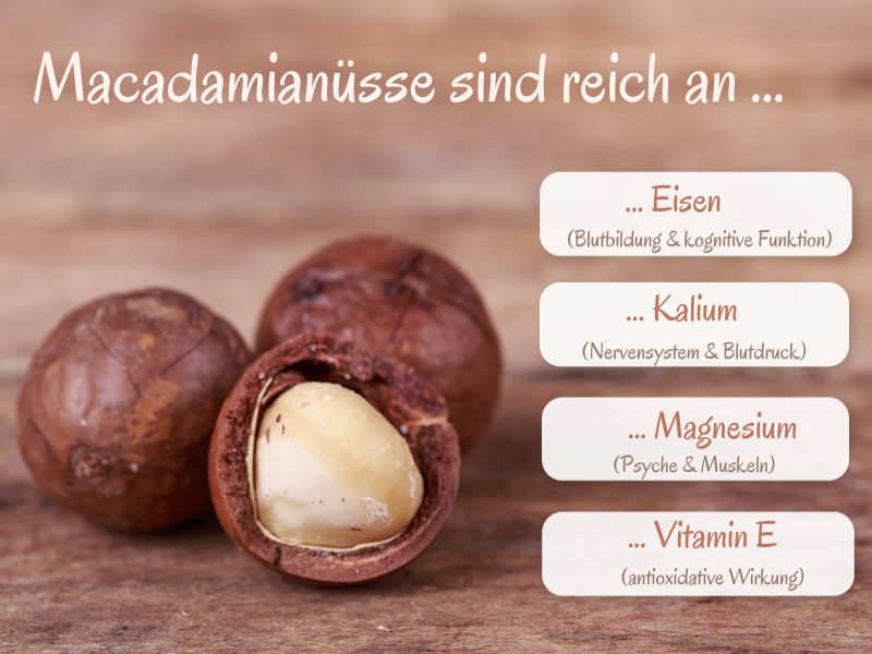 Macadamianüsse sind Vitalstofflieferanten