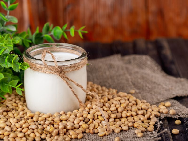 vegane Joghurtkulturen zum Joghurt selber herstellen