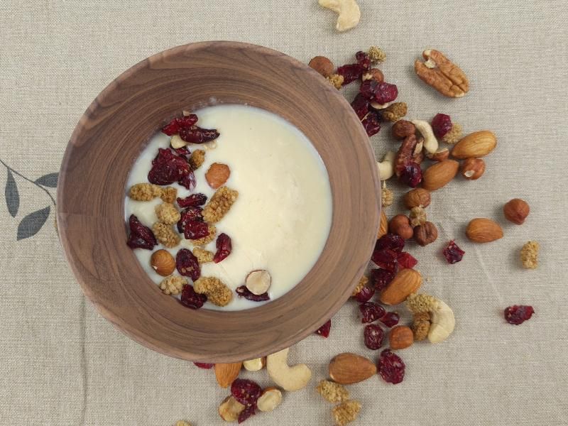 Joghurt aus Joghurtstarterkulturen vegan