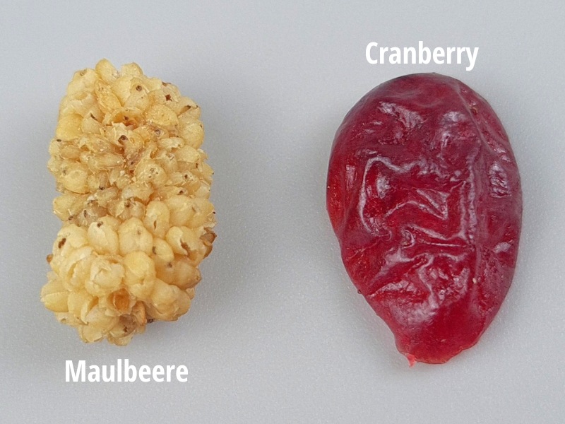 cranberry-maulbeeren-vitalbeeren-mix-einzeln