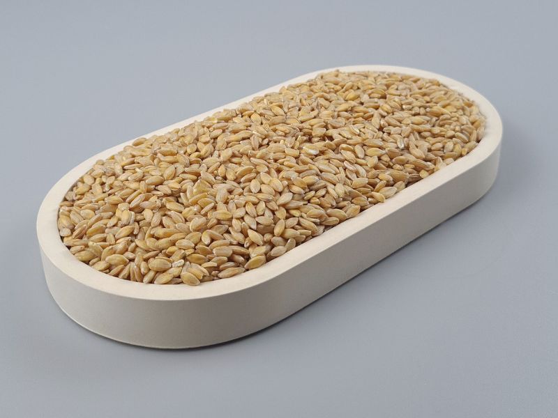 Einkorn, Bio Urgetreide, ganzes Korn