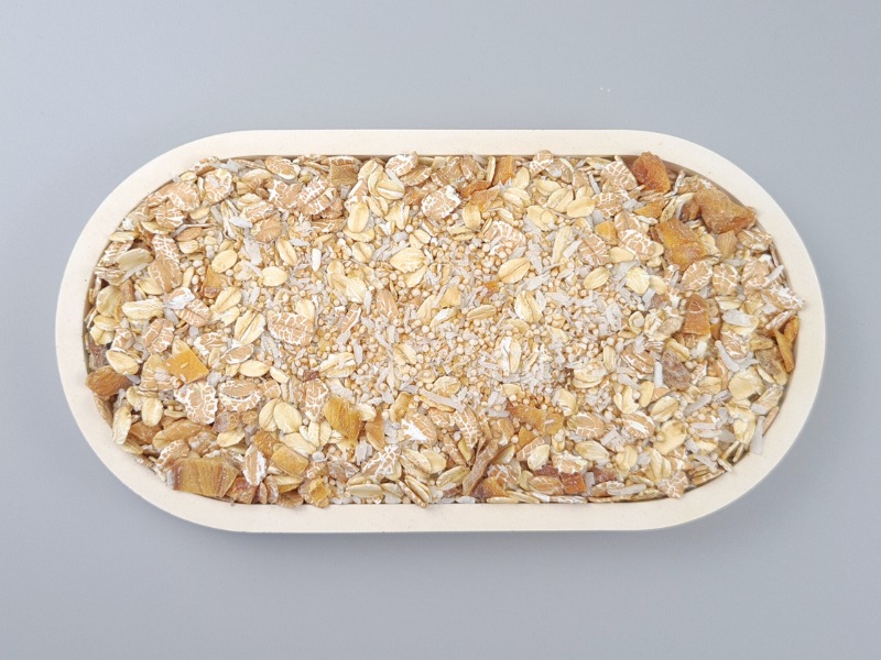 Mango Kokos Müsli Mischung in einer Schale von oben