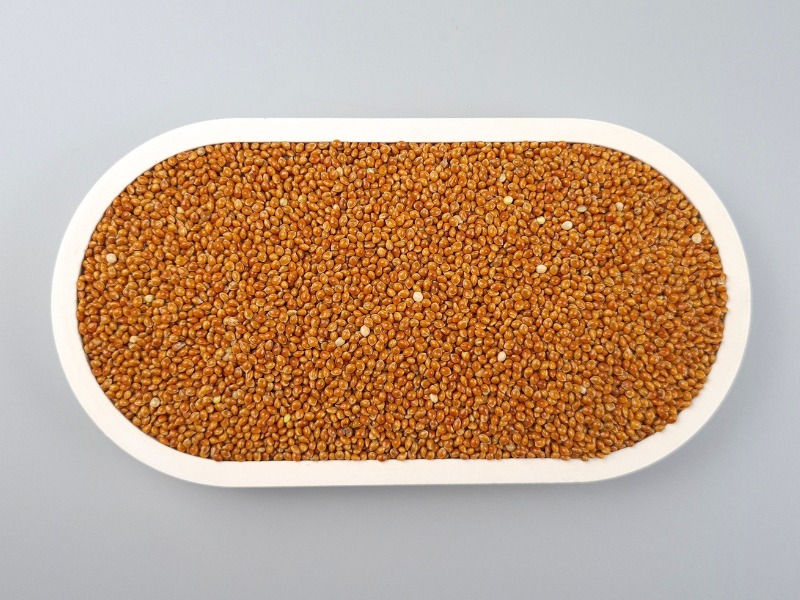 Bio Braunhirse Samen in der Schale von oben