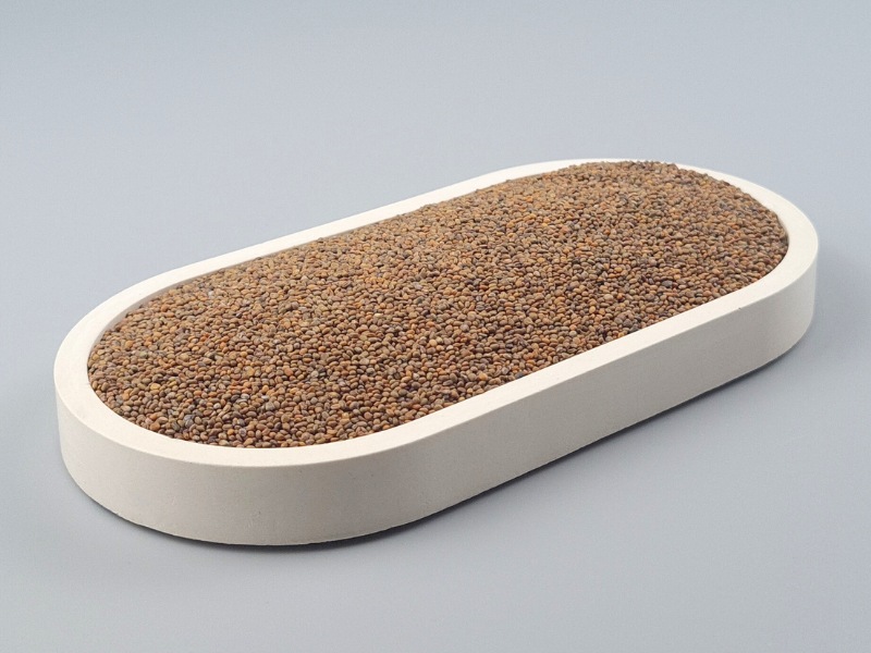 Rucolasamen (Eruca sativa, Garten-Rauke), Bio kbA, für würzige Keimsprossen