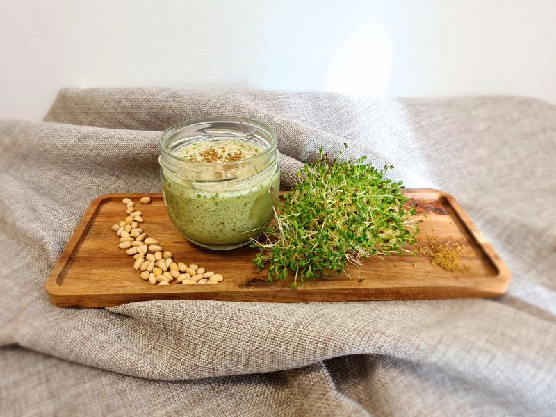 Pesto aus Alfalfasprossen und Zedernnüssen