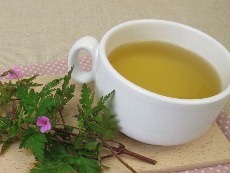 Storchenschnabel Tee in Tasse