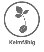 Keimfähig - Saatgut keimfähig für Keimsprossen